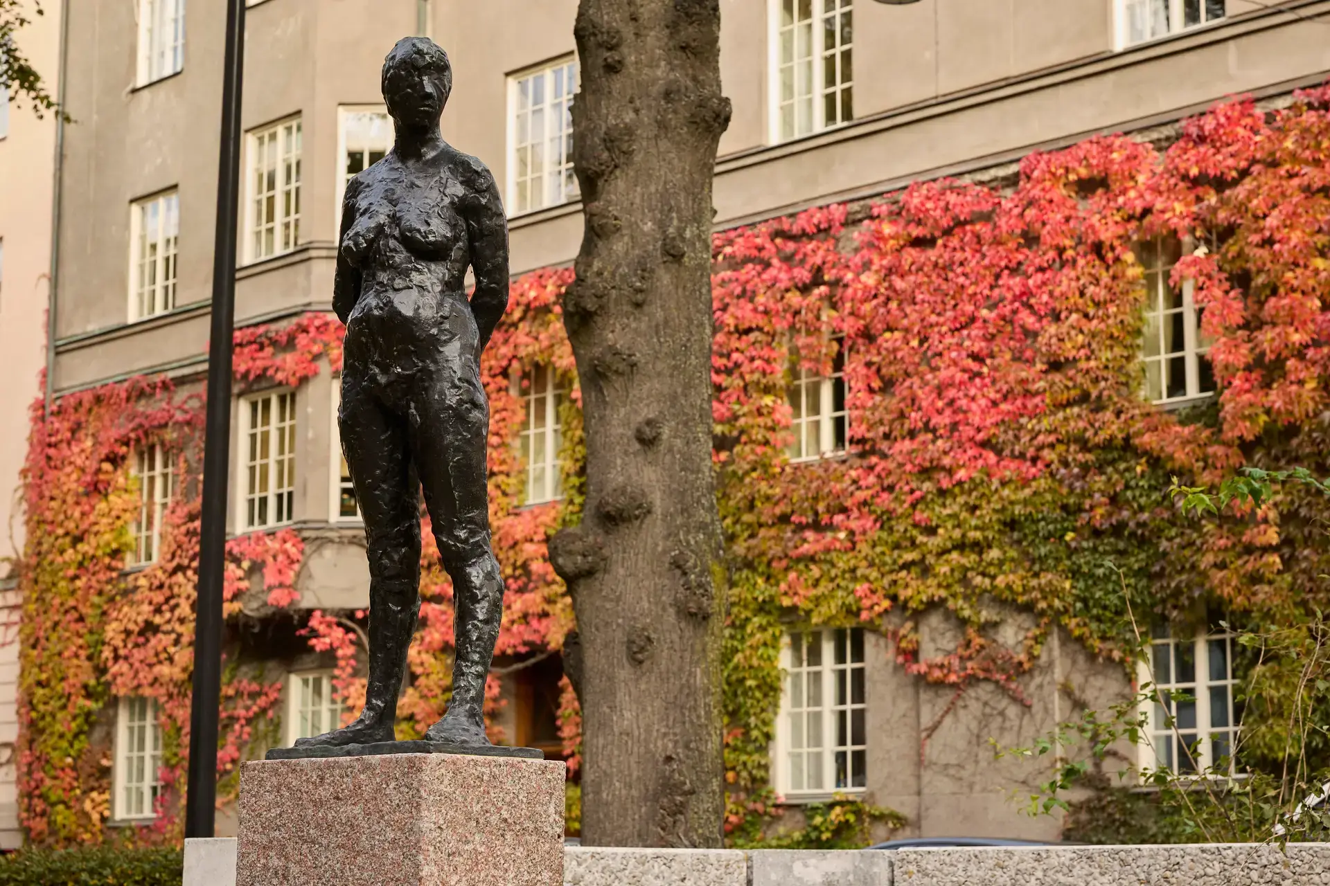 Rådgivning inom migrationsrätt på advokatkontor